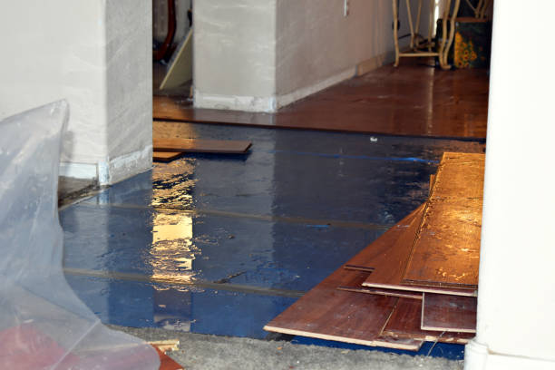 Professional Storm Water Damage Restoration technician working in Evans, CO
